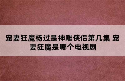 宠妻狂魔杨过是神雕侠侣第几集 宠妻狂魔是哪个电视剧